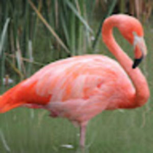 Meet your Posher, Holly